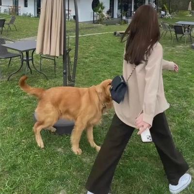 花甲少年趣旅行